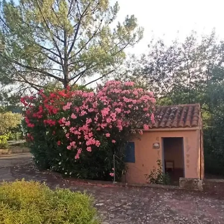 Holiday home Rose Roquebrun